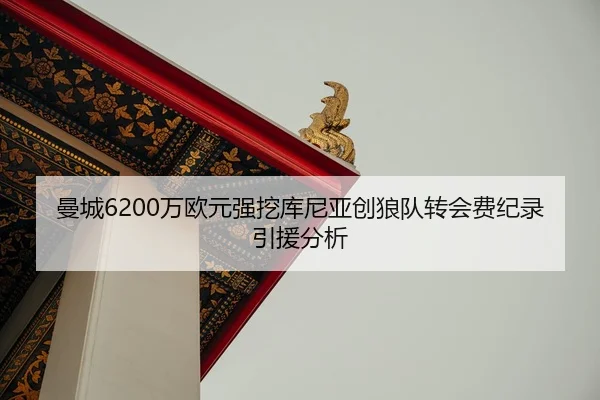man-cheng-wan-ou-yuan-qiang-wa-ku-ni-ya-chuang-lang-dui-zhuan-hui-fei-ji-lu-yin-yuan-fen-xi-2-593.jpg
